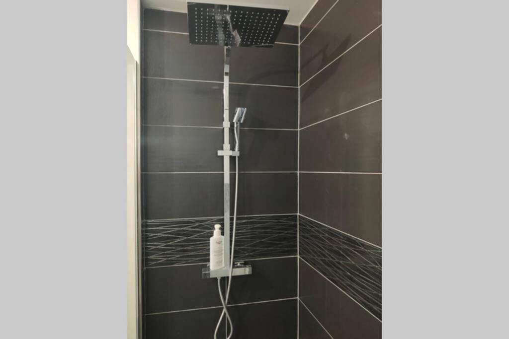 Logement Entier+ Jardin Prive Et Parking 2Places Руан Екстериор снимка